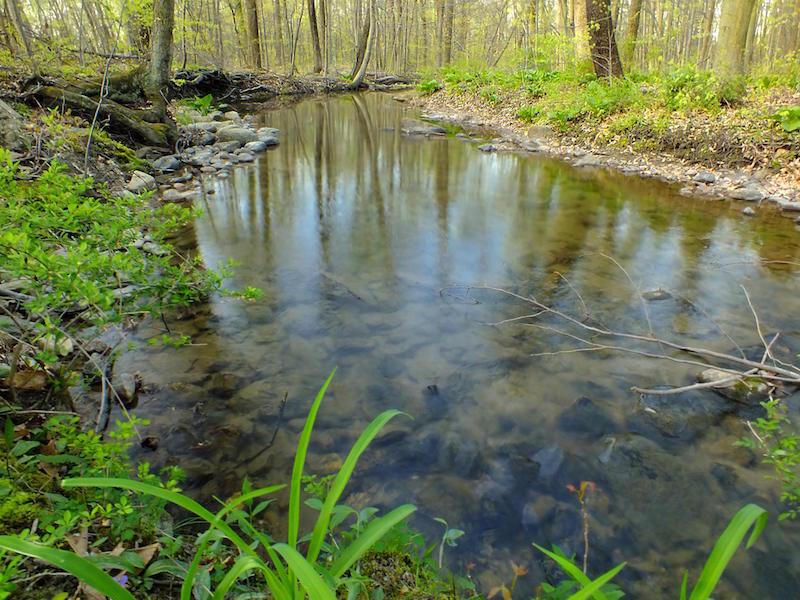 1duegi-natura-media.jpg