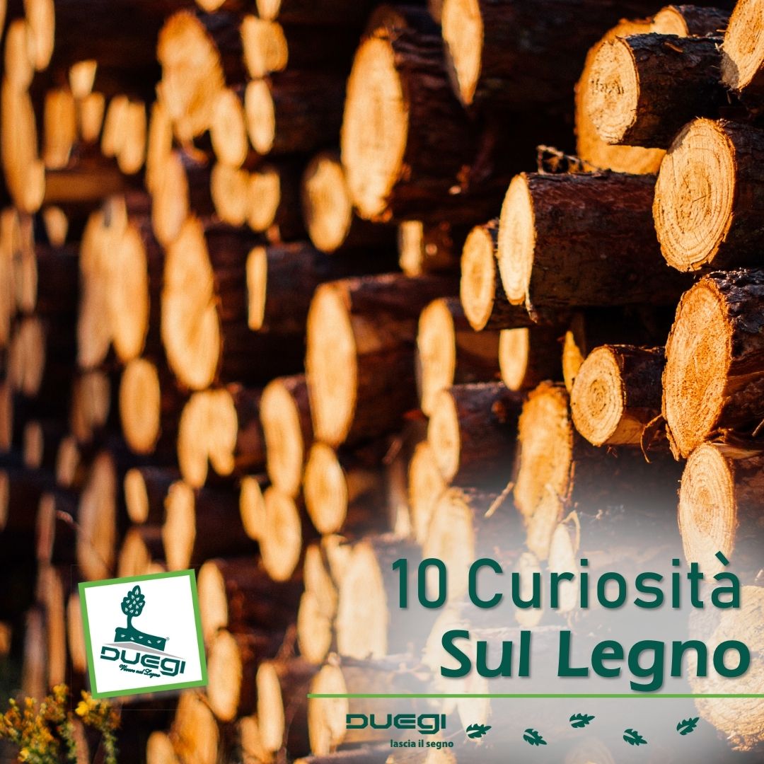 10 Curiosità sul legno che forse non sapevi
