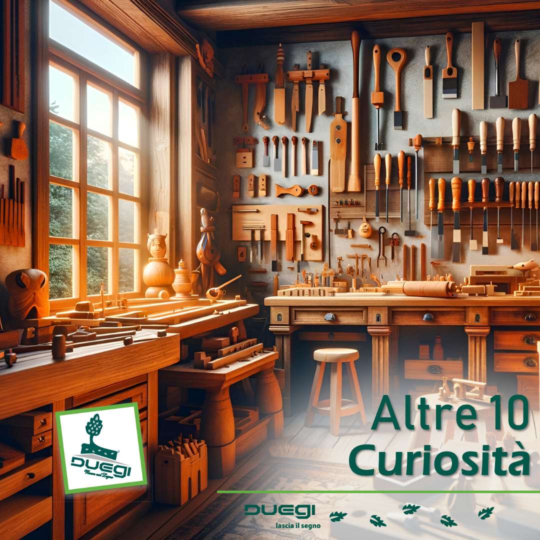 Altre 10 Curiosità sul Legno