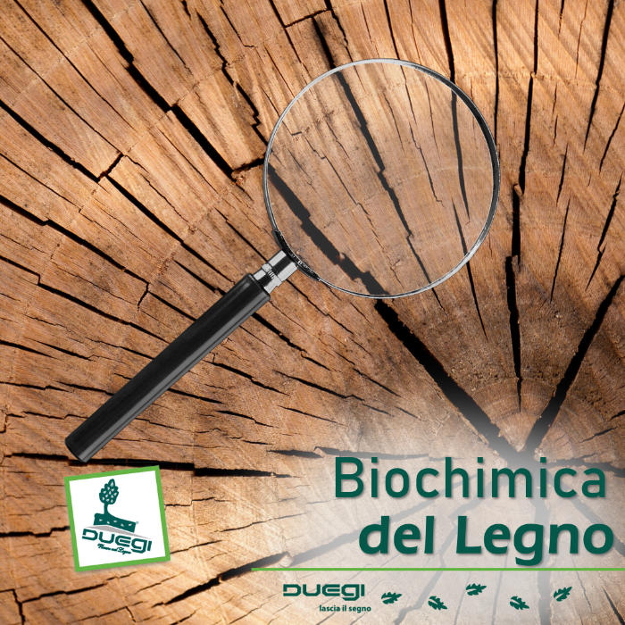 Biochimica del Legno e Bioplastiche