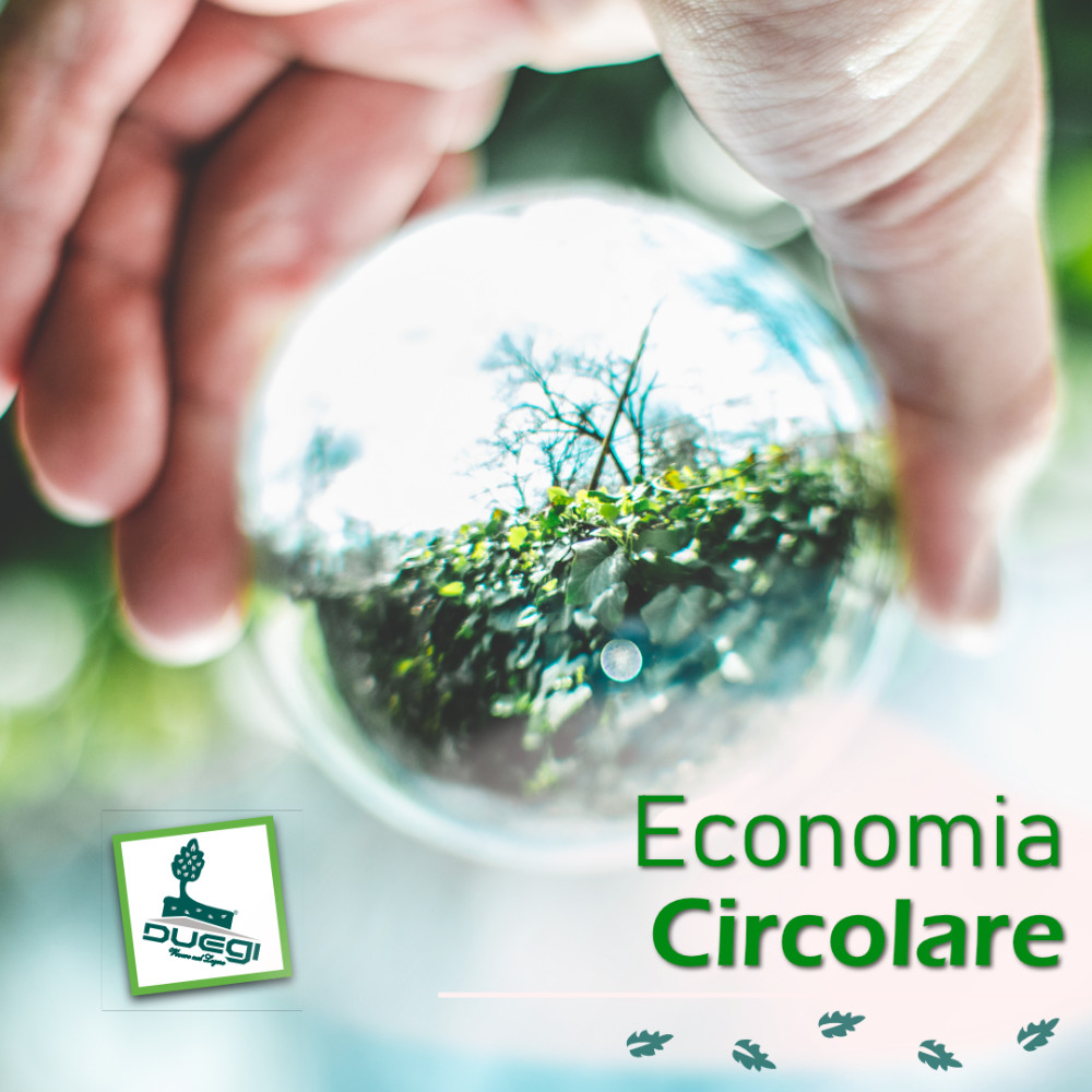 Economia Circolare, questa sconosciuta