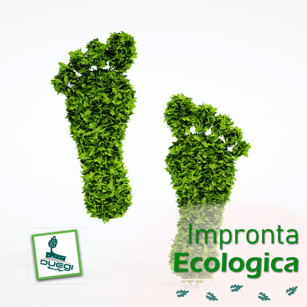 Impronta Ecologica