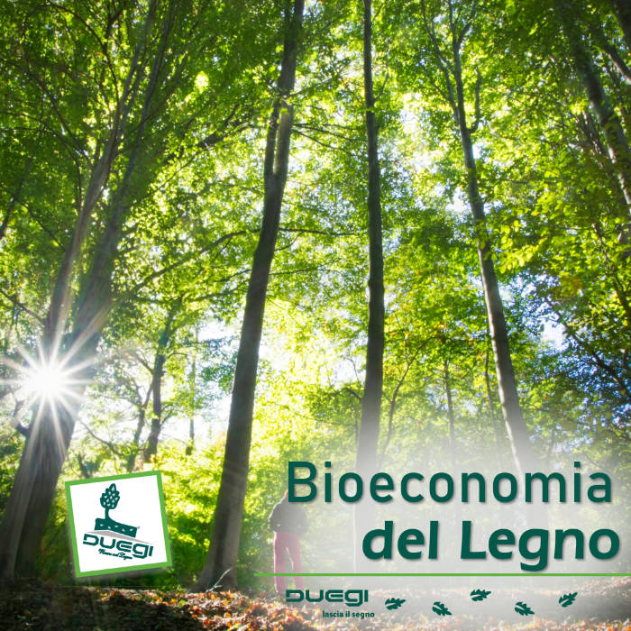 La Bio-Economia Basata sul Legno