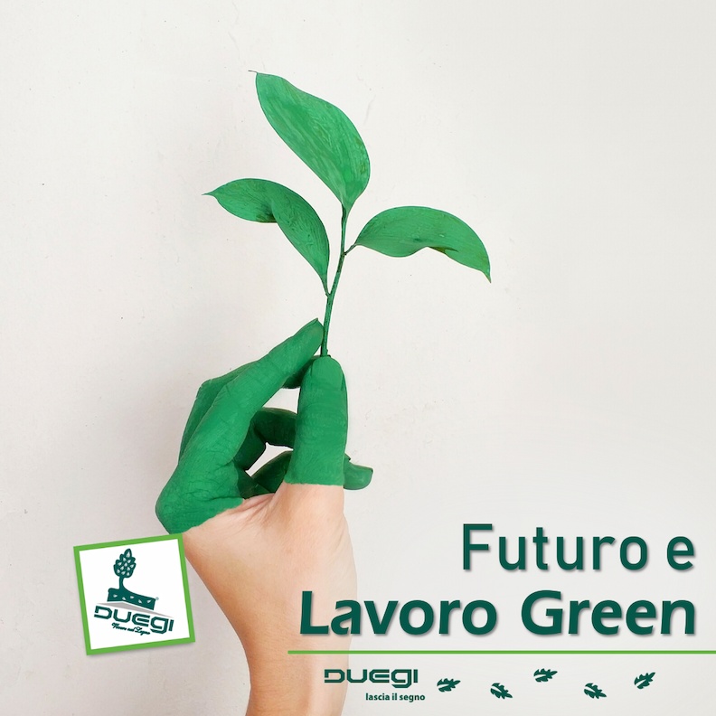 Lavori Green del Futuro Le 10 Domande Più Frequenti