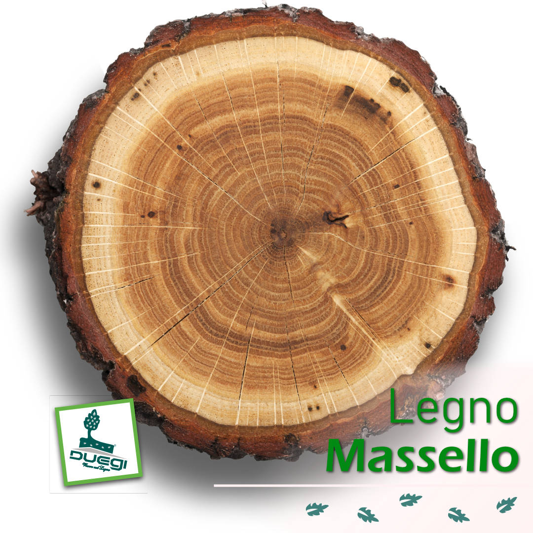 Il Legno Massello