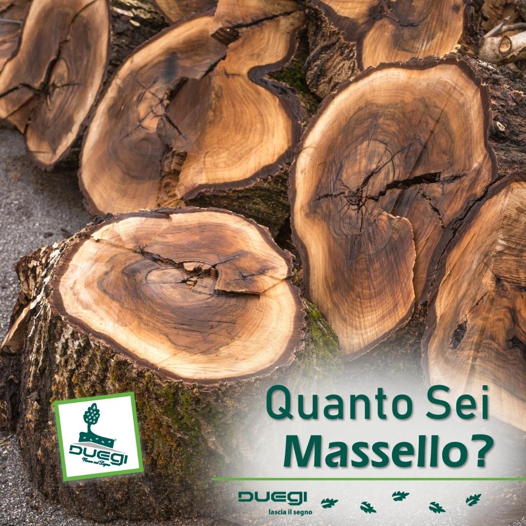 Significato di legno Massello