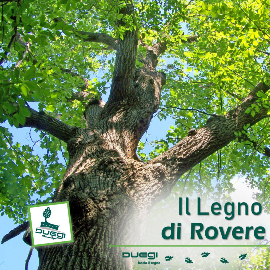 Il Legno di Rovere Caratteristiche e Informazioni Utili