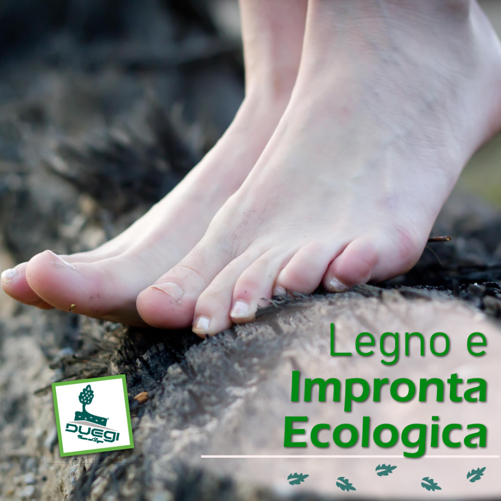 Legno e Impronta Ecologica