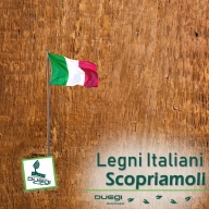 Legni italiani: tipologie, caratteristiche e usi