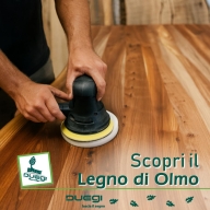Scopri il Legno di Olmo 
